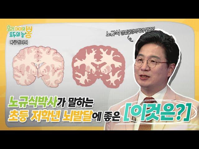 우리 아이의 봄, 모두의 늘 봄!ㅣ노규식박사가 말하는 초등 저학년 뇌발달에 좋은 이것은?!