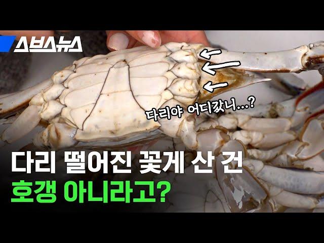 다리 떨어진 꽃게 판 소래포구, 오히려 좋은거라고? / 스브스뉴스