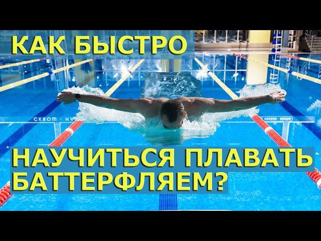 Баттерфляй| Научиться плавать баттерфляем Плавание дельфином