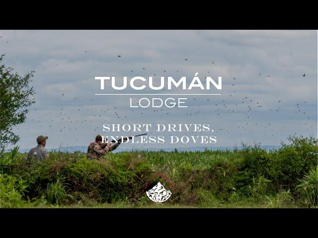 Tucumán Lodge: The Ultimate Dove Hunting Destination for Wingshooters