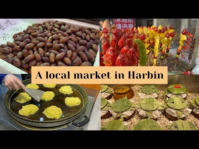 【Eng Sub & pinyin】 A walk around a local market in Harbin 在哈尔滨当地市场逛一逛｜Learn Chinese through Vlogs