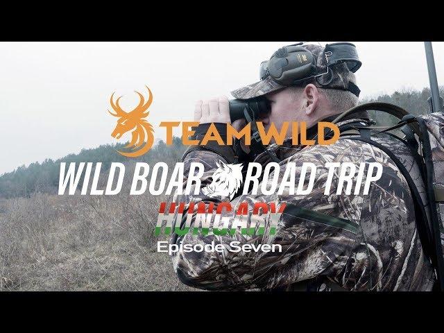 Wild Boar Hunting: Stalking Wild Boar, Fallow Doe and Mouflon Rams in Hungary