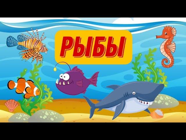 РЫБЫ ДЛЯ ДЕТЕЙ | Речные рыбы. Морские рыбы. Аквариумные рыбы | Детям про рыб