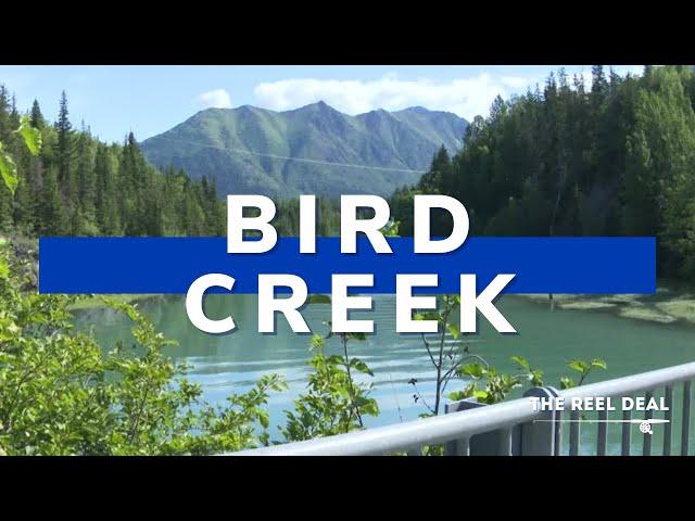 Alaska's Reel Deal: Episode 8- Bird Creek