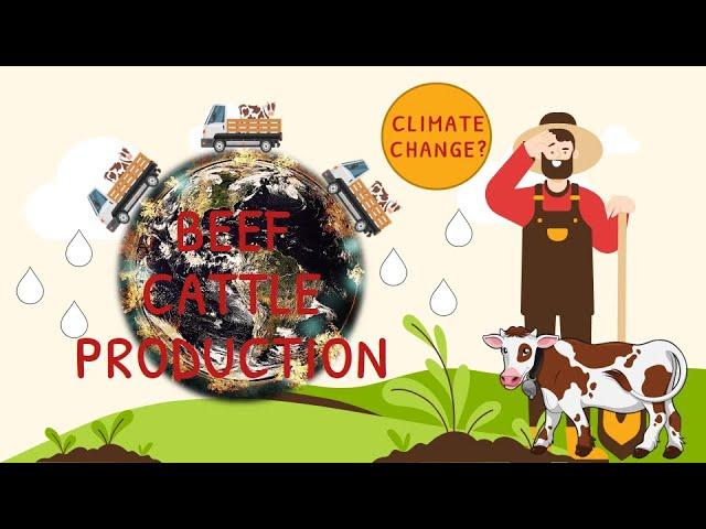 Life cycle assessment (LCA) of Beef