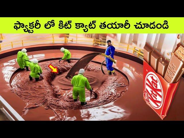 kitkat chocolate making in factory / fish oil making in factory / facts in telugu / bmc facts