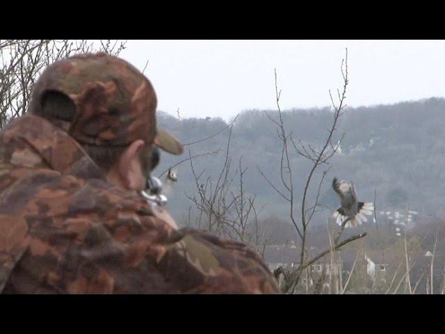 The Airgun Show -- a mixed bag with Rob Collins PLUS pump or tank?