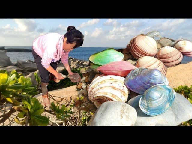 Undercurrents on the sea floor bring some precious shellfish to the shore. Pearl Shell