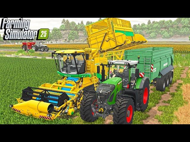 I Harvest Spinach For The First Time? | Farming Simulator 25