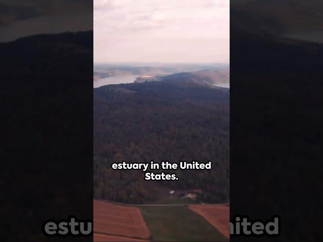 Virginia: Fun facts in a flash! #GlobalFunBytes - #facts #travel, #fun
