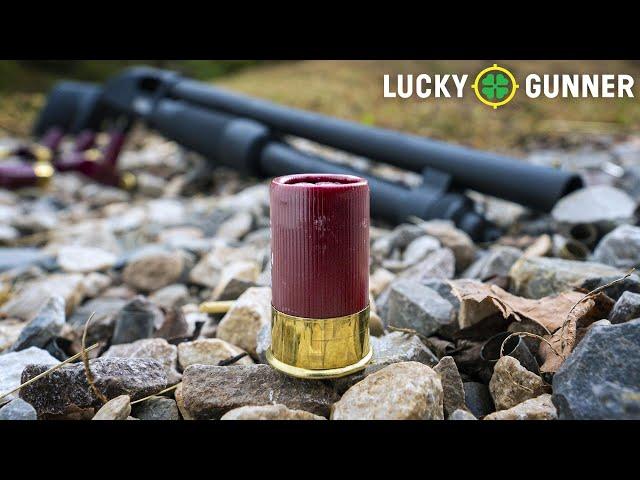 Are Mini Shotgun Shells Viable for Self-Defense?