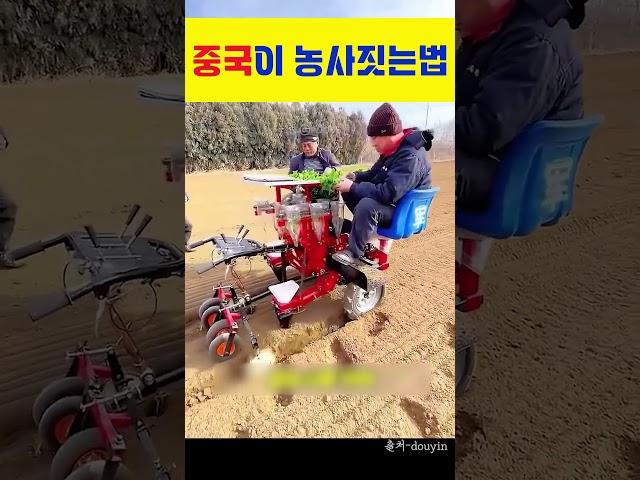 중국이 농사짓는법ㅋㅋ