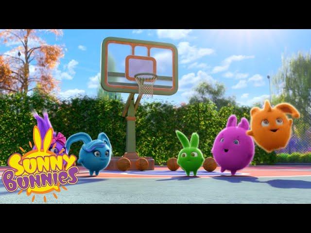 Videos For Kids | Sunny Bunnies FLUFFY-EARED TEAM | Funny Videos For Kids