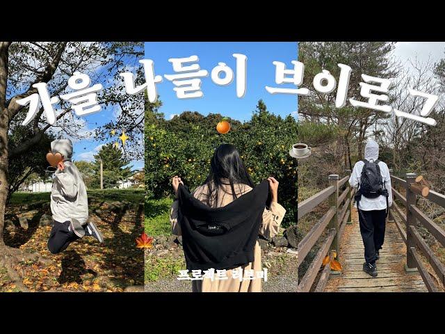 Autumn jeju vlog| Mountain of fear | Oreum with pretty silver grass | park walking | New cafe