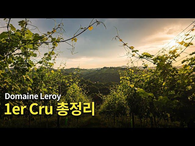 [Eng.sub] Domaine Leroy의 1er Cru 와인 총정리!  (+가성비 좋은 village급도 간단히 소개해드립니다)