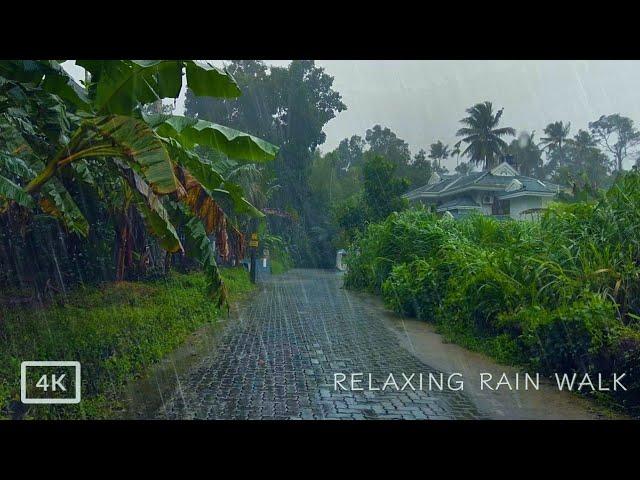 Walking during Heavy Rain in Indian Village | ASMR Rain Sound for Sleep and Stress Relief