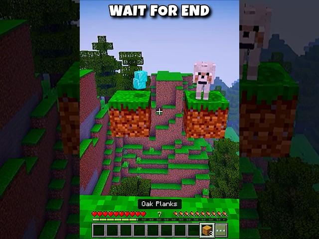 Dog  or dimonds  (die with a smlie) | Mr. gamocraft |