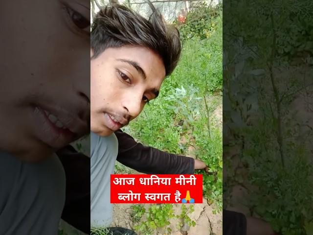 आज धानिया मीनी ब्लोग स्वगत है #व्लॉग #minivlog #vlogging #vlog #beautyvlog #fashionvlog #funny