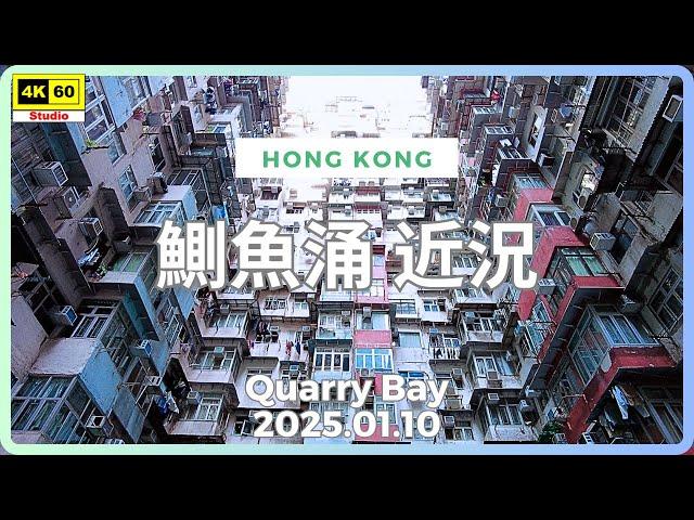 鰂魚涌 近況 4K | Quarry Bay | DJI Pocket 2 | 2025.01.10