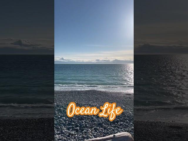 This is ocean living  weekend looks like! #vancouverisland #bcrealestate  #ocean