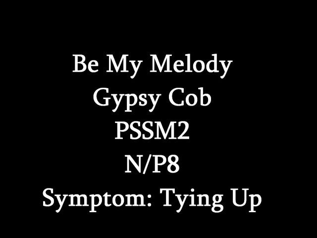 Symptoms Of MIM (PSSM2)- Tying Up (Be My Melody)