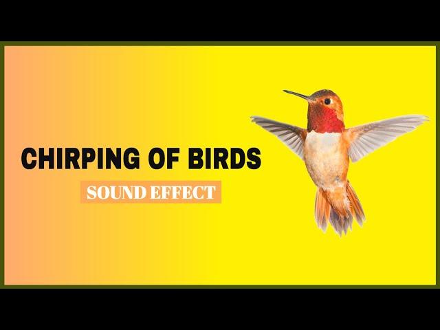 Chirping of Birds Sound Effects