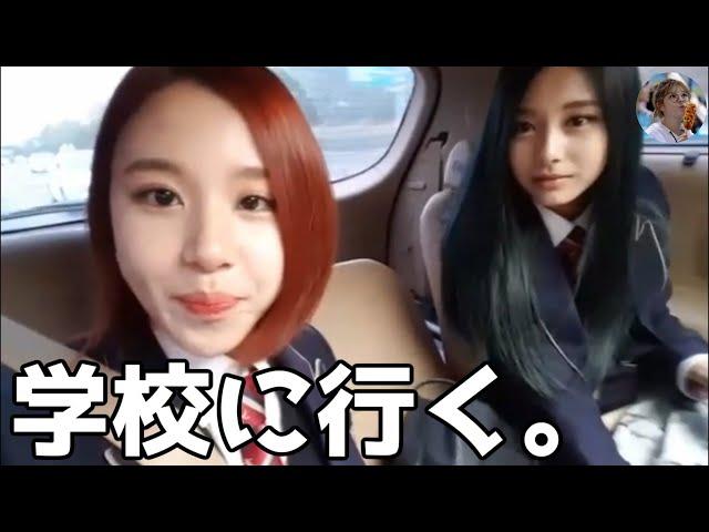 【TWICE】給食団（ダヒョン・チェヨン・ツウィ）の登校風景【日本語字幕】