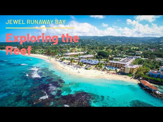 Jewel Runaway Bay in Jamaica - Snorkeling in the Reef