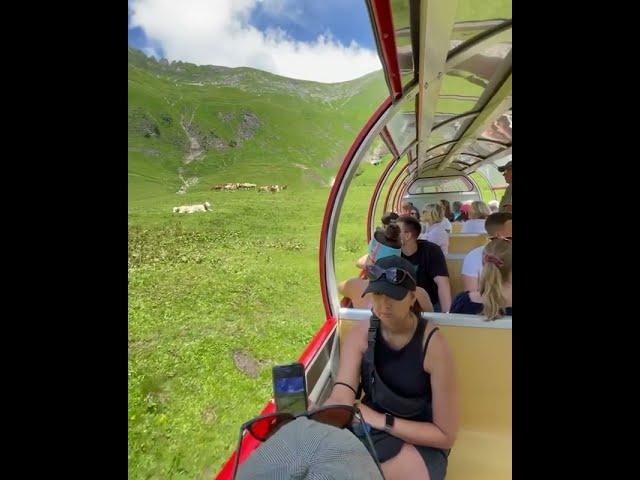 SWITZERLAND Train Trip in the Swiss Alps | Please subscribe to my channel️