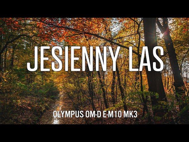 Jesienny spacer z Olympusem + testy Heliosa 44m4 na Micro 4/3 | #fotografia