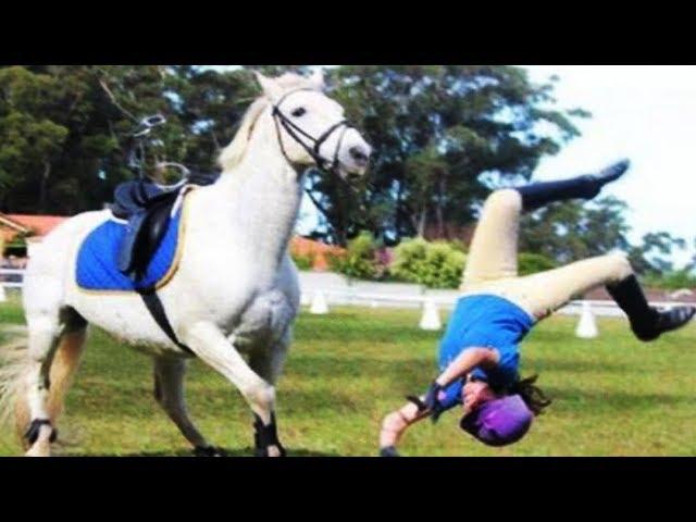 TRY NOT TO LAUGH  Funny People Fail in Horse Riding Challenge || Funny Babies and Pets