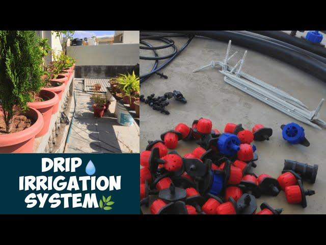 Drip  irrigation  System for Rooftop Garden  (Part 1) | Drip irrigation System Installation guide