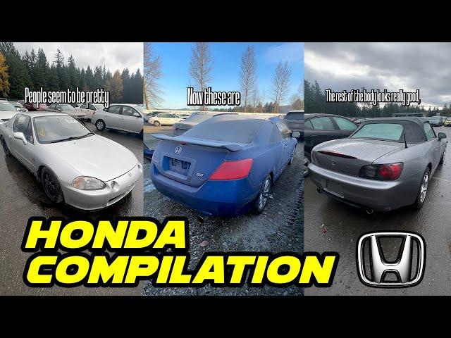 Bendaga Auction Car Shorts - Honda Compilation