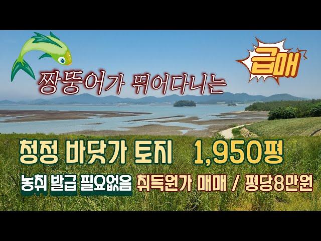 [목포토지사랑 222] 짱뚱어가 뛰어 노는 청정갯벌 바다 영구조망 /개간된 임야 / 보전관리 1950평 / 평당8만원 / 농막용 토지