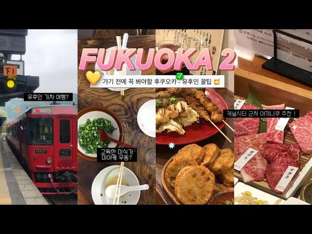  후쿠오카 맛집 꿀팁  #2ㅣ유후인 기차 여행 + 하카타역 벤또 + 긴린코 호수 + 당일 온천 + 고독한 미식가 미야케 우동 + 모츠나베 + 야키토리 + 야키니쿠 바쿠로