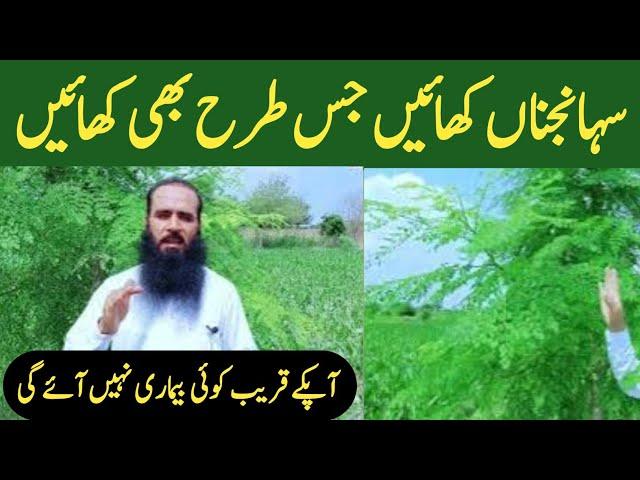 Moringa Ke Fayde ||@ATC Organic