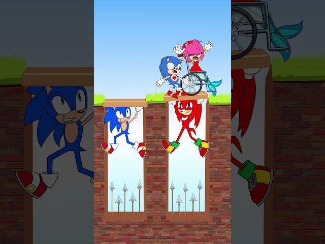 Double Bridge Challenge With Sonic and Knuckls  #shorts #tiktok #viral #animation