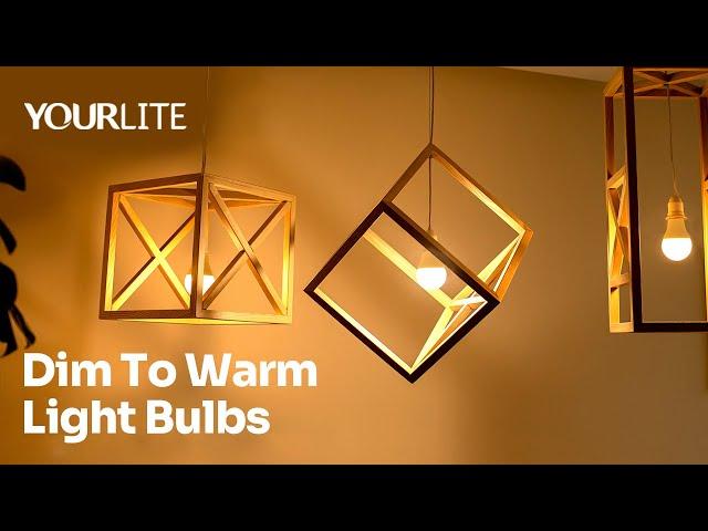 YOURLITE Energy Efficient Dim to Warm Light Bulbs – Smooth Dimming | Warm Glow