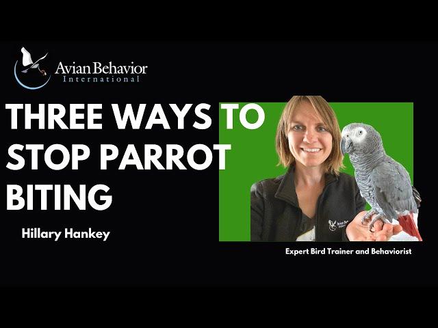 Three Tips to Stop Parrot Biting