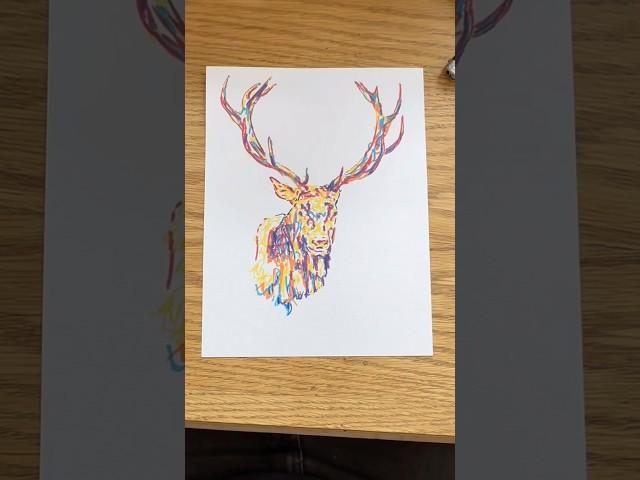 Deer Art! #deerart #deerdrawing #deerpainting #deerlove #deer #animalartist #animalpainting #artwork