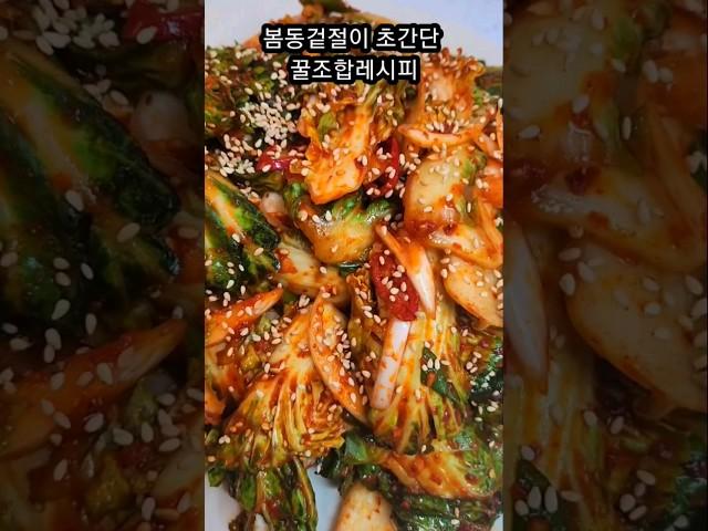 봄동겉절이 초간단비법과 꿀조합 레시피 #shorts