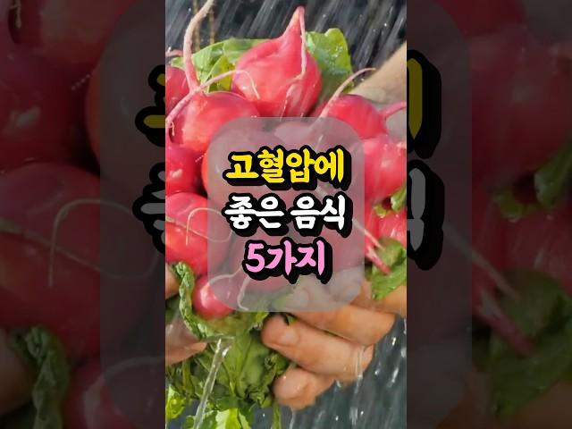 고혈압 걱정 끝! 혈압 낮추는 음식 5가지