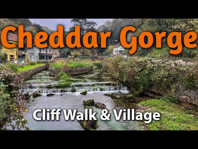 Walking Cheddar Gorge Clifftops and Cheddar Village Tour