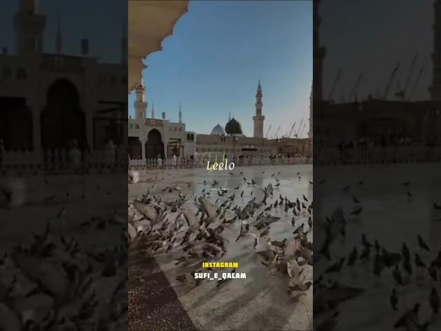 Saba tu madina jake kehna ️
