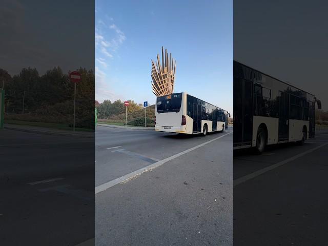 Autobuzul MBC E4 #6276 sosind în stația de urcare “Piața Presei” pe linia 448