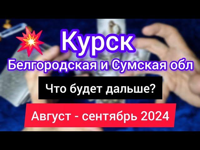 КУРСК. БЕЛГОРОД. ОБСТАНОВКА В ПРИГРАНИЧНЫХ РЕГИОНАХ РФ. СУМЫ. Август- сентябрь 2024.