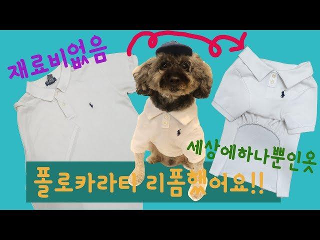 강아지옷으로리폼했어요!/비싼폴로티생겼다/재료비빵원/기똥차네/다음은버버리??