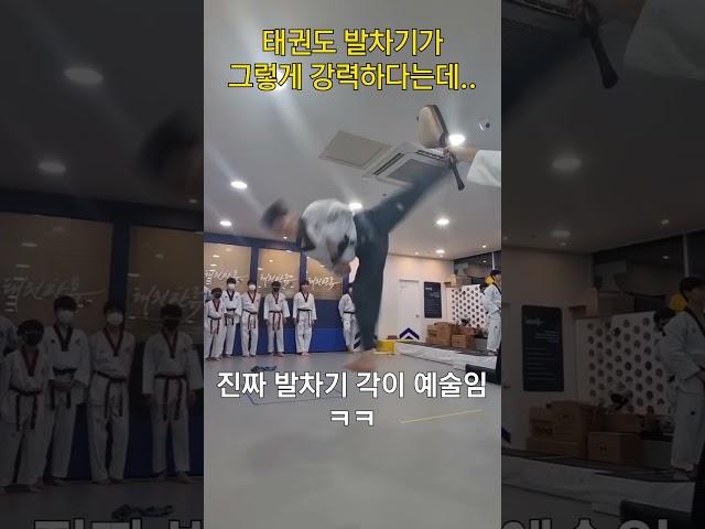 태권도 발차기가 그렇게 강력하다는데...#shorts  #tkd