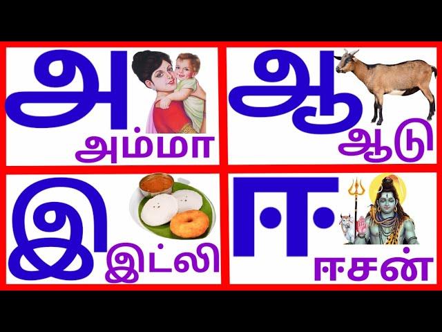 உயிர் எழுத்துக்கள்|அ ஆ இ ஈ | learn Tamil alphabets litters|@PRINIT1419