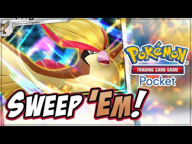 What is the BEST PIDGEOT EX Deck?? | Pokemon TCG Pocket